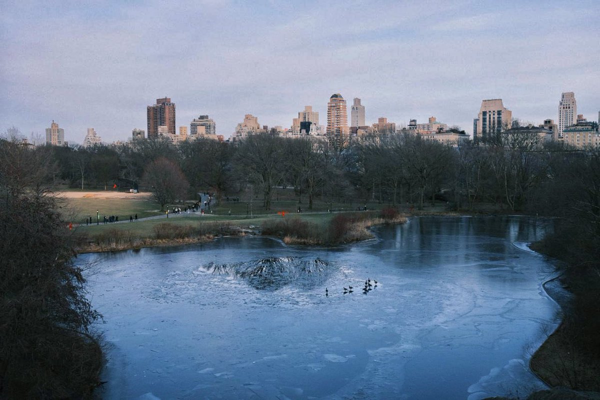 Luigi Di Piazza tweet media