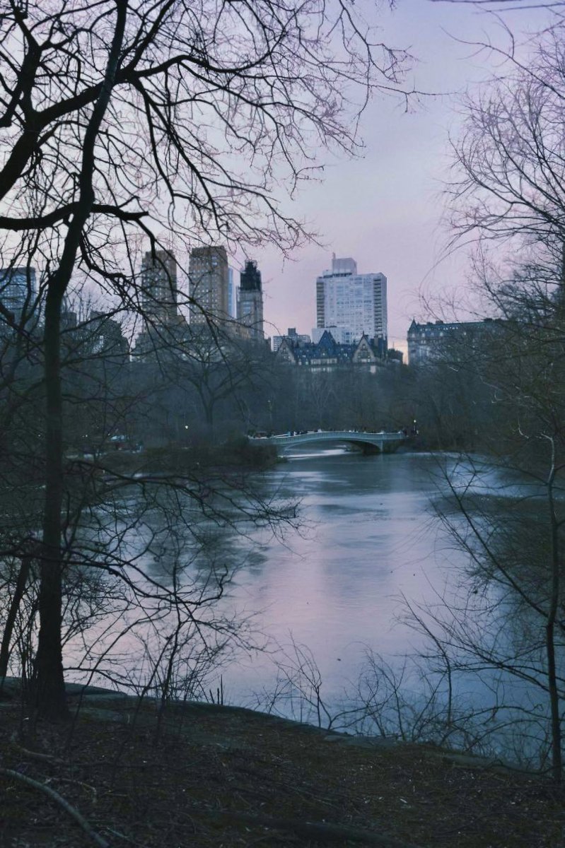 Luigi Di Piazza tweet media