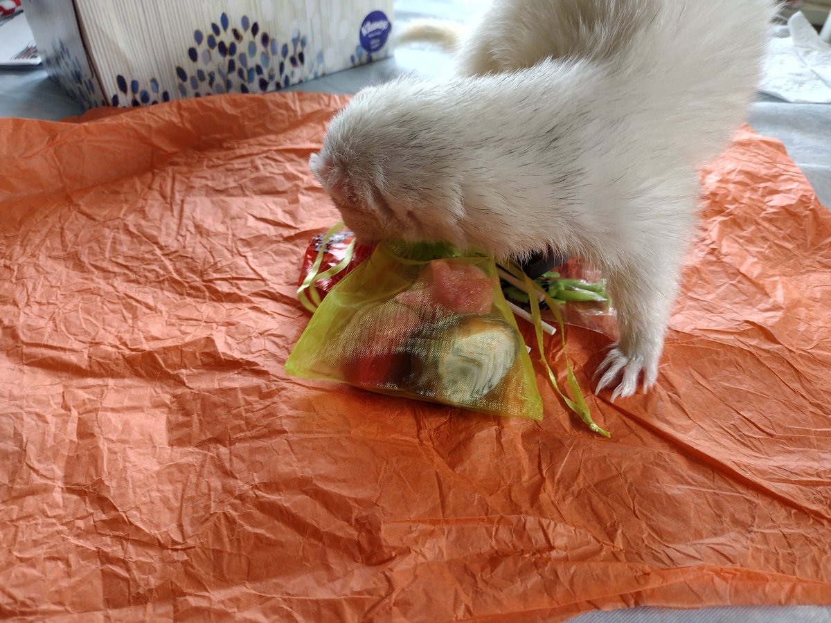 🤍🌘 Map2Moon 🌒🖤 tweet media