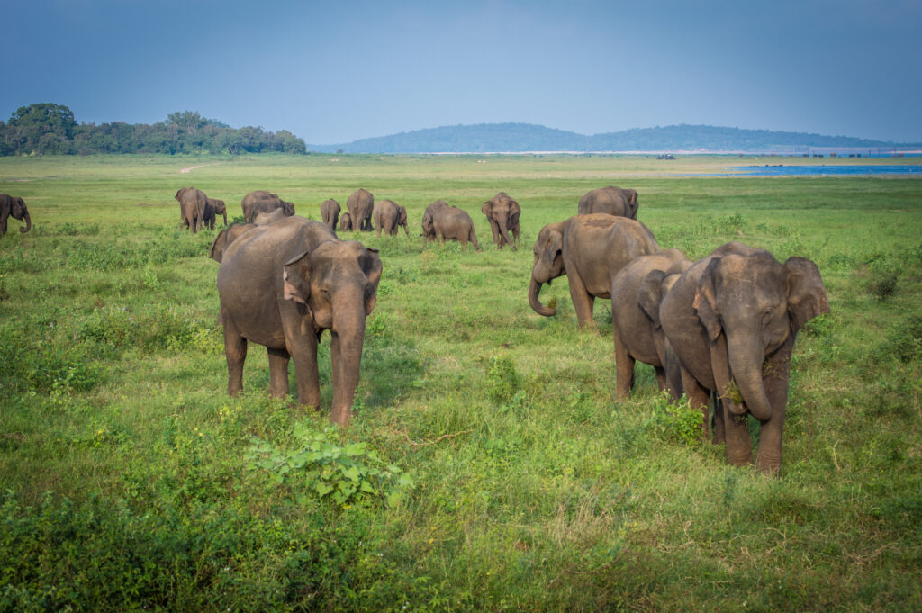 chistadata's tweet image. zcu.io/KRcE How to monitor CPU Cache Buffers Chains Latch in PostgreSQL? #PostgreSQL #PostgreSQLDBA #PostgreSQLTroubleshooting #PostgreSQLPerformance