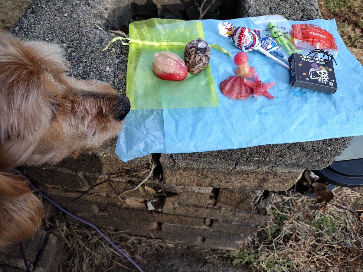 🤍🌘 Map2Moon 🌒🖤 tweet media