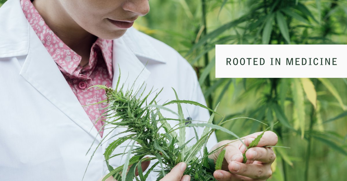 BotSciGA's tweet photo. If you're a #Georgiaphysician interested in becoming a registered #medicalcannabis prescriber, please visit our website at https://t.co/oxSnxBFvW7. #RootedInMedicine https://t.co/tqc7hDEhqF