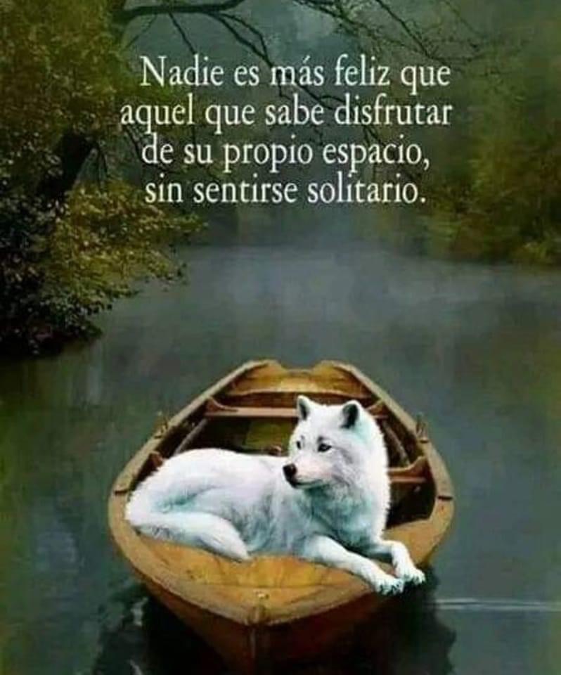 Paulo Coelho Español (@paulocoelhodice) on Twitter photo 