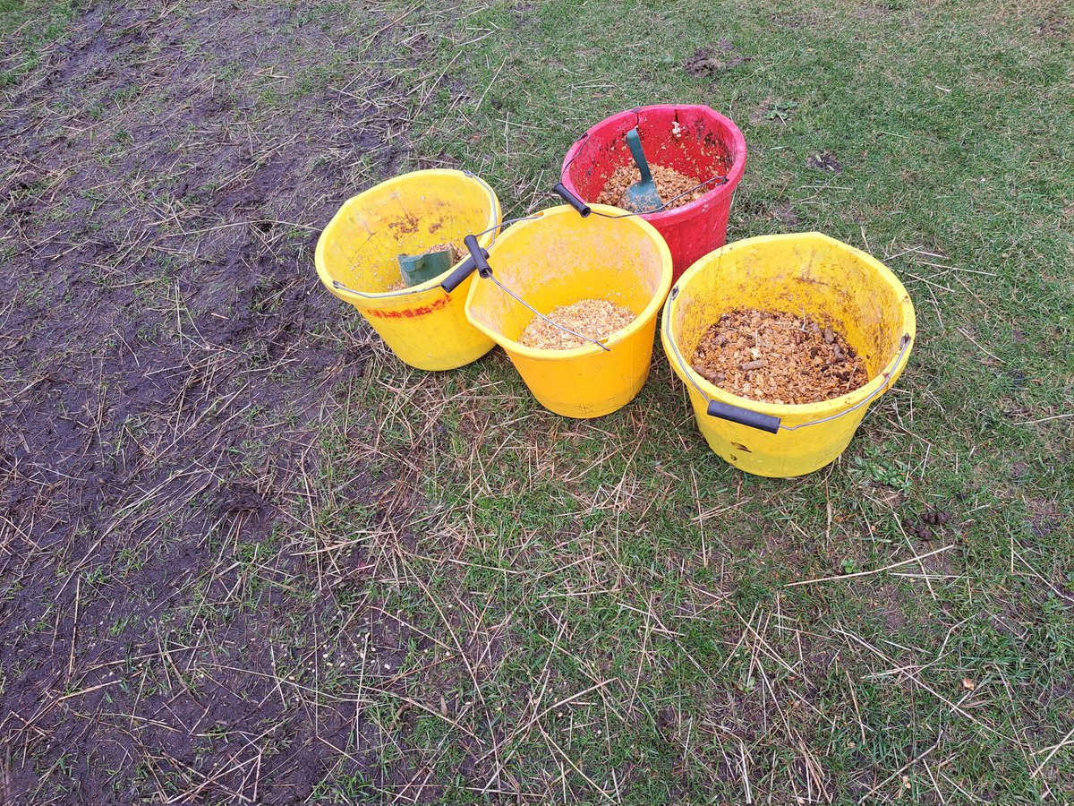 Raven_Rock15sb's tweet photo. Most people have a collection of individual things, and mines are buckets. Theses are a few samples, used for feeding and weather protection https://t.co/CTVeUdb86m