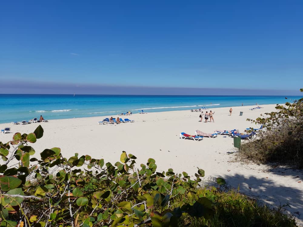 Hotels_Varadero's tweet photo. What else are you thinking to do at @VaraderoB? We have the best beach area!!!! Then, let's go there!!!!!
#Liveuptomore #responsibleliving #enjoylife #grancaribevaradero #varaderotravel #viajes_cuba #barcelohotelsresorts #OccidentalHotels #AllegroHotels
#varaderoresortbybarcelo https://t.co/XTWEgtSnoP