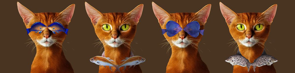 Catfishydream's tweet photo. GM, the same problem every day: what should i wear? Should I put on the cichlid or the purple tang sunglasses?😎 And what do you think about the cuckoo catfish and the goldfish bow tie?🐟 

Check out my wardrobe at: https://t.co/cP6BVO0QPr

#NFT #CatsofTwittter #cats #fish #fun https://t.co/EDDlKGO8Bm