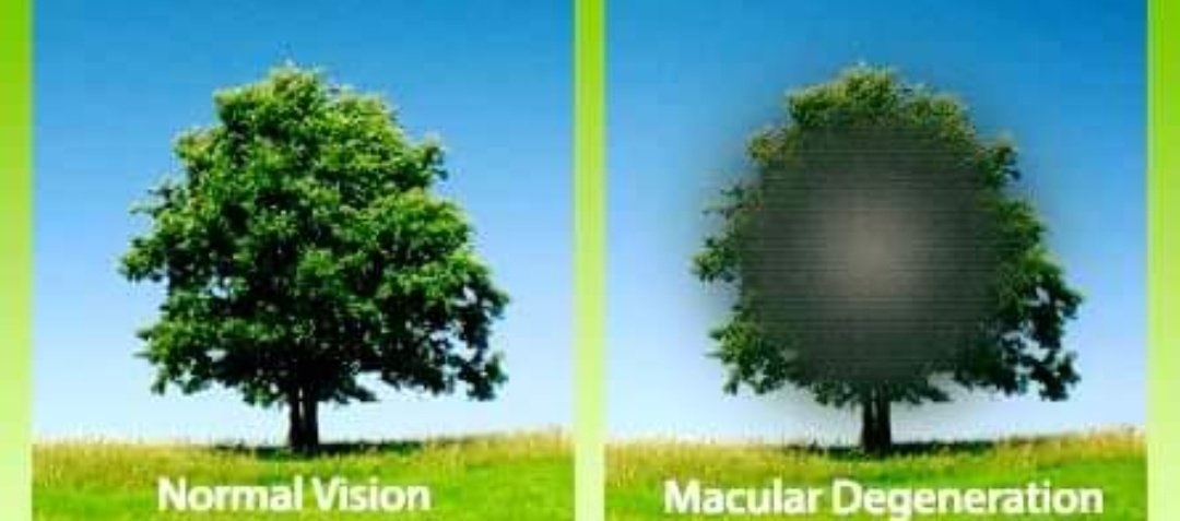 SEE DR.YEE tweet media