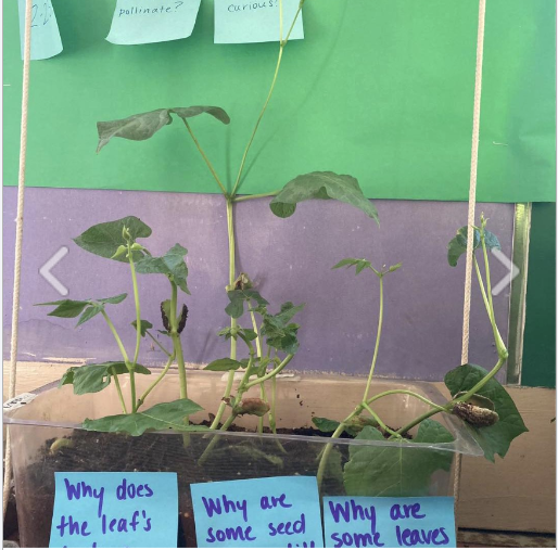 PS 503 students learn and explore.
