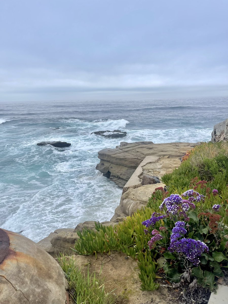 LambertusTaylor's tweet photo. Thanks for the views San Diego 🌞🧠 https://t.co/2rRxMdEaHp