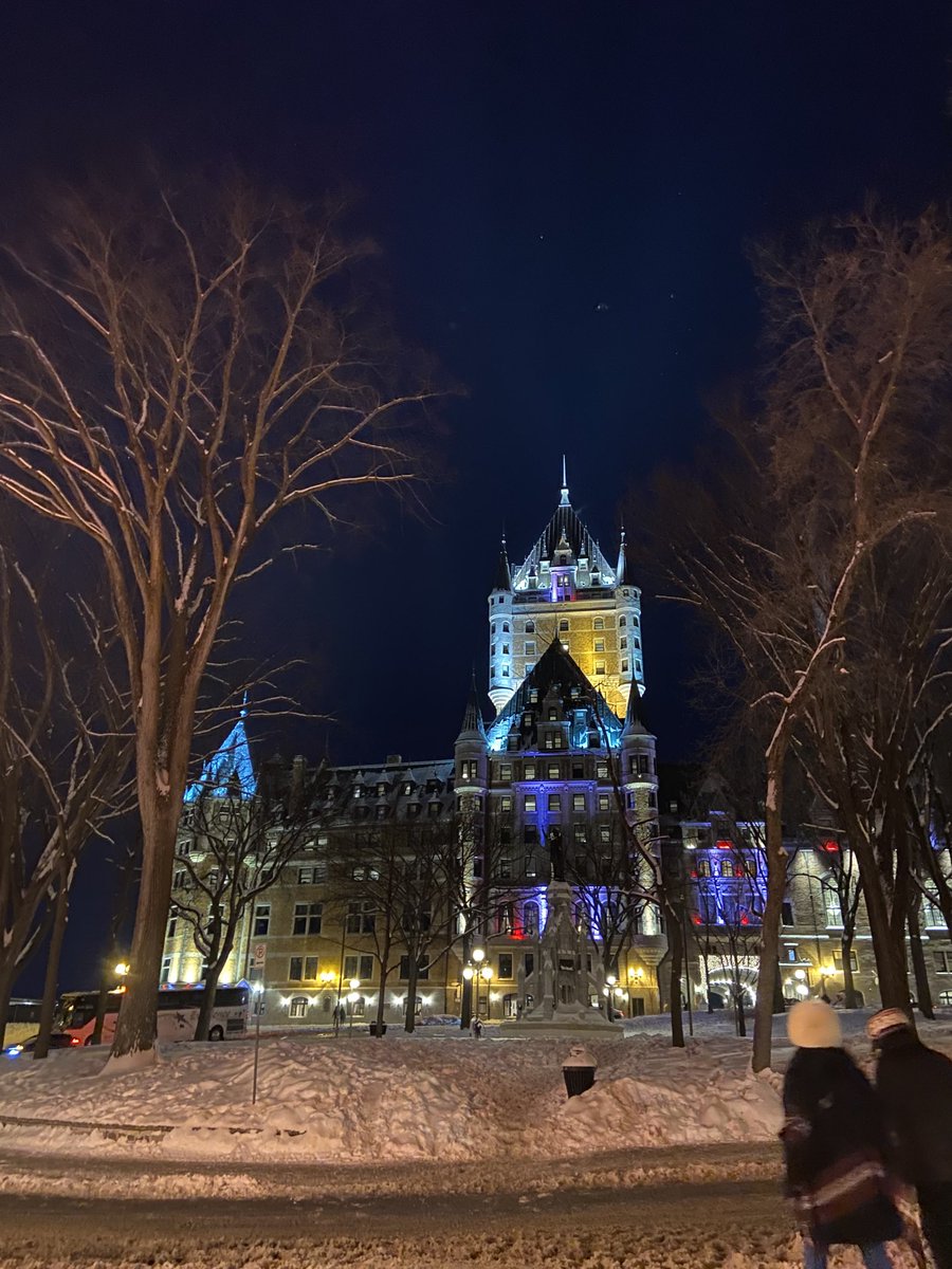 Lily Hordienko tweet media