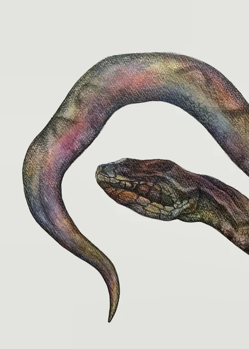 #watercolour 