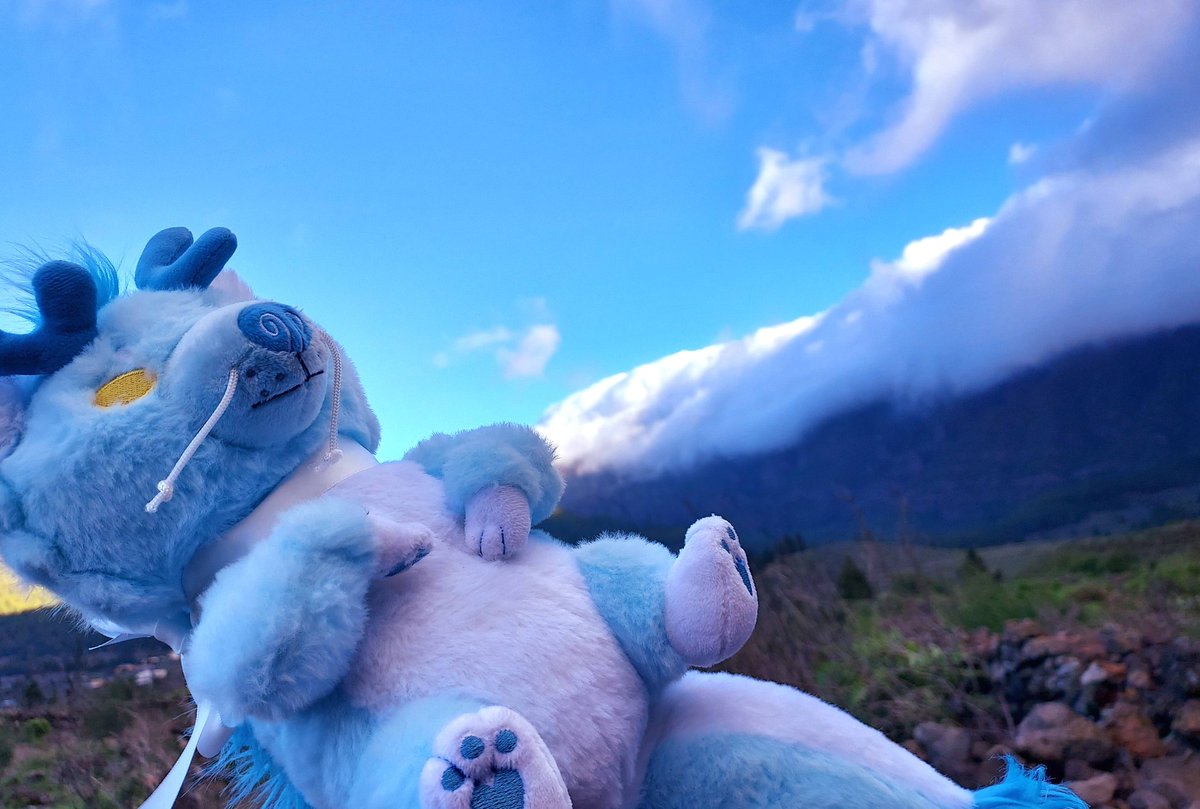 sunnycritters's tweet photo. 🐾CLOUD DRAGON PLUSH GIVEAWAY🐾

One Winner will receive Cloud the Dragon!!! Bring home this shy and stoic boy!!

To enter:
🐾Retweet and Follow here or @littlesofts !
🐾Comment to tag a friend AND/OR tell us where in the world you'd love to travel with Cloud! https://t.co/UE7yDA5RiP