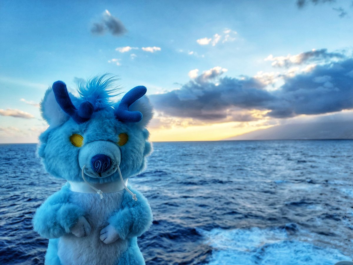 sunnycritters's tweet photo. 🐾CLOUD DRAGON PLUSH GIVEAWAY🐾

One Winner will receive Cloud the Dragon!!! Bring home this shy and stoic boy!!

To enter:
🐾Retweet and Follow here or @littlesofts !
🐾Comment to tag a friend AND/OR tell us where in the world you'd love to travel with Cloud! https://t.co/UE7yDA5RiP