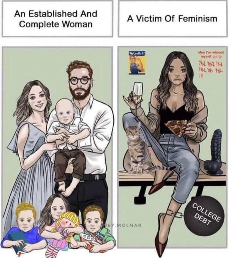 vanillaopinions's tweet image. being a victim of feminism seems great
