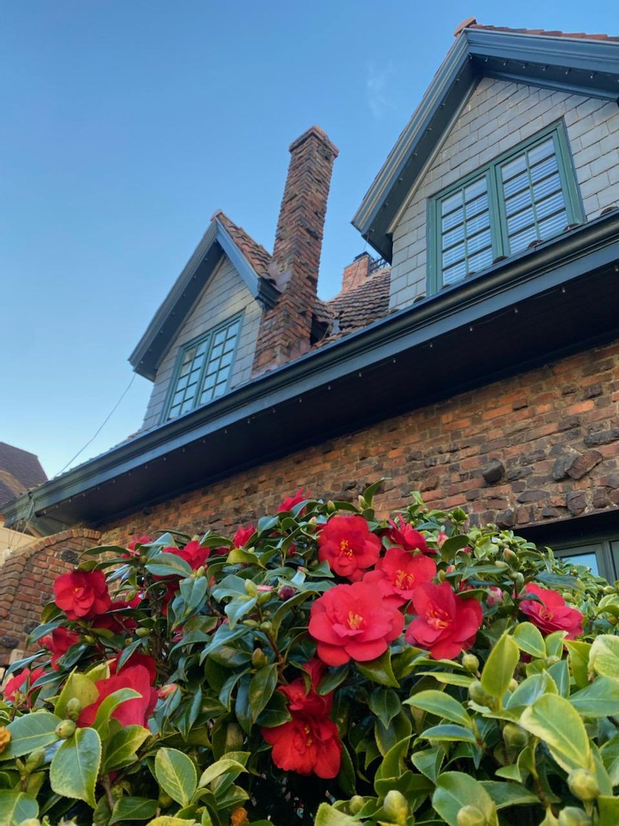 HomescapeNow's tweet photo. Homescape Now would L-O-V-E to help your garden bloom! ❤️❤️🌷🌷

#sanfrancisco #landscaping #landscapedesign https://t.co/m8kx25DEuZ