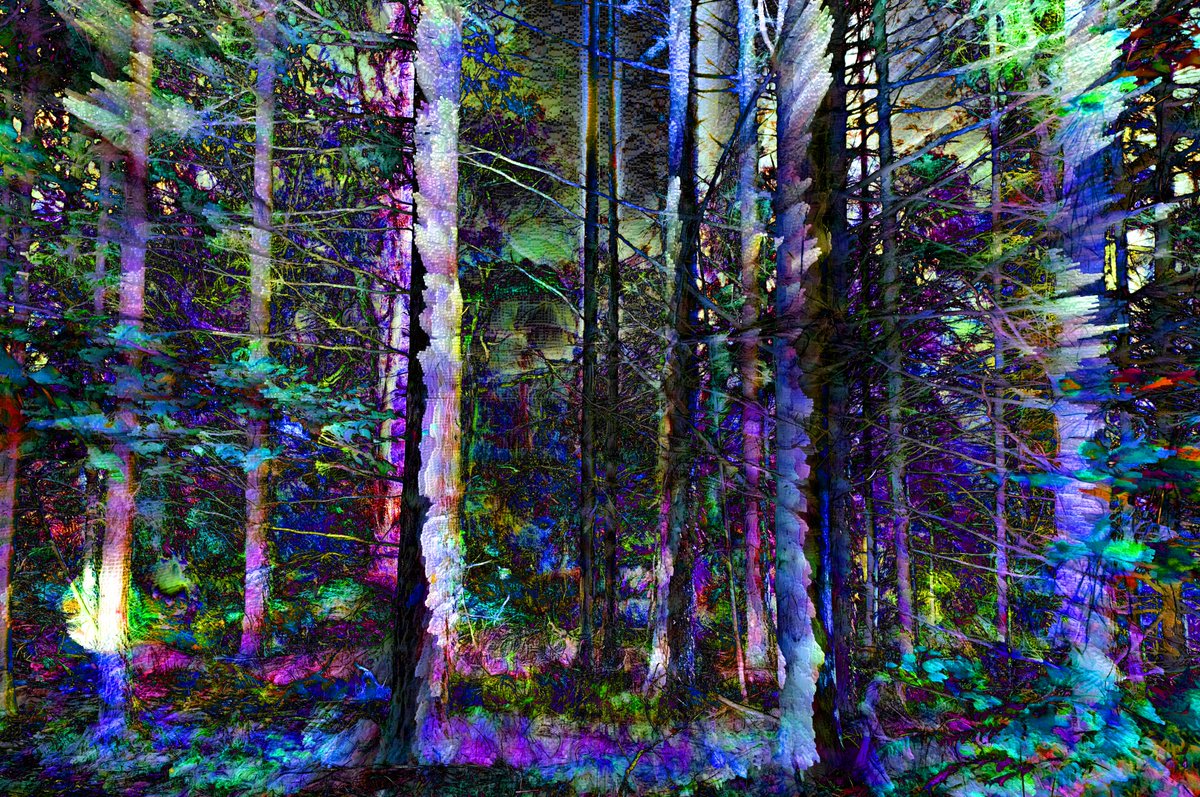 helleart1's tweet photo. GM !
Emerging from the night dreams https://t.co/d39KI5EJZR