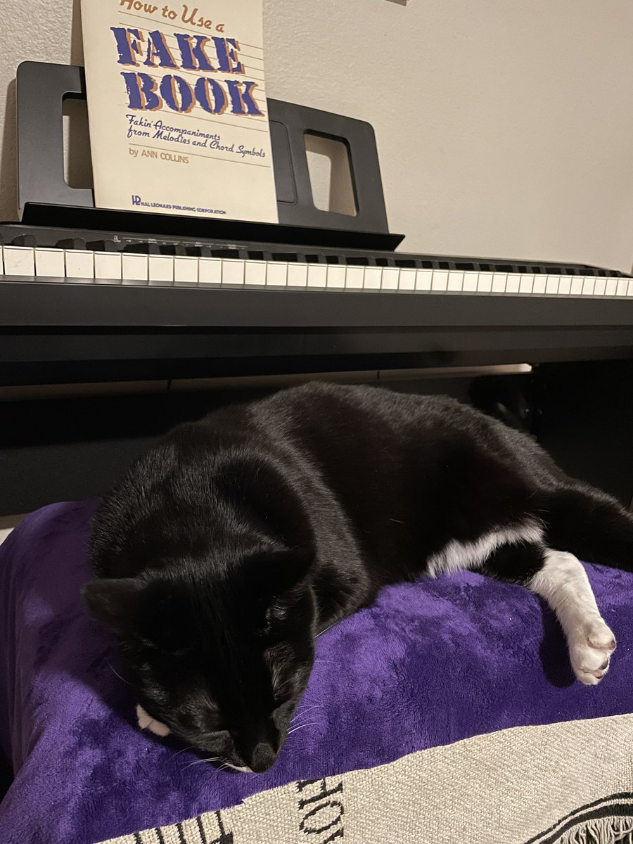 And… zzz. ~Wednesday 🐾 🎹 #MondayNight #MondayVibes #Meownday #CatsOfTwitter #PanfurSquad #Tuxie