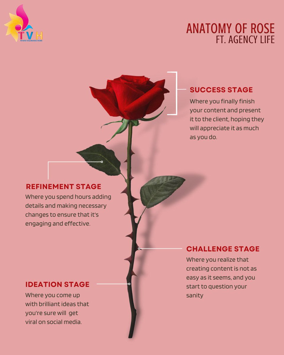 visualhousetvh's tweet photo. Know your Rose 🌹 
Just like rose, content creation has its stem and thorns, but the end result is always a blooming success. 
.
.
.
#happyroseday #thevisualhouse
#contentcreation #topicalday #topicalcontent #valentinesweek #valentinesday #rose #roseday #marketingagency https://t.co/8hWJ1utoWe