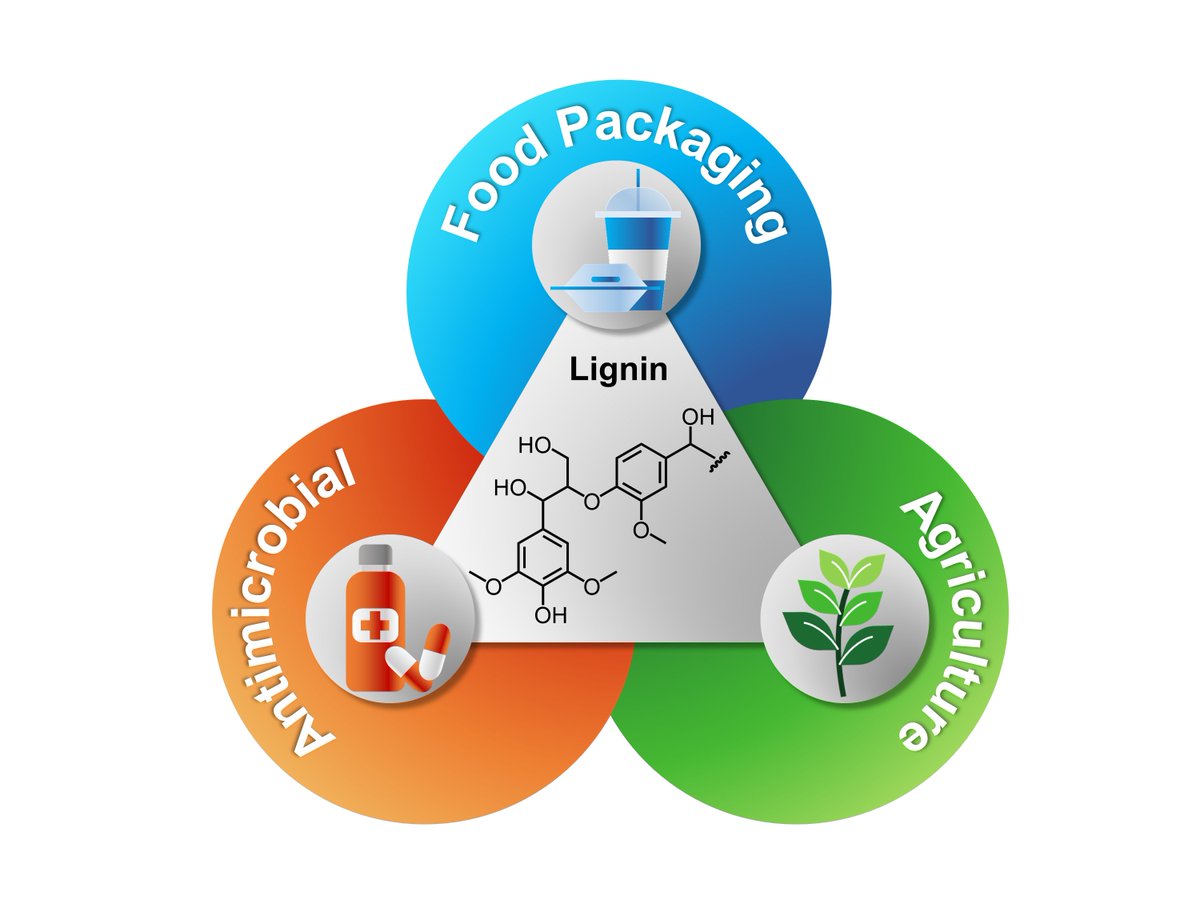 Interested in learning what lignin can do to help generate new materials for food packaging, antimicrobial and agricultural applications ? Check out our perspective article by @AliceBoarino in @MacroJrnls_ACS #Biomacromolecules pubs.acs.org/doi/10.1021/ac…