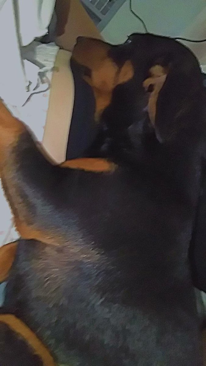 sweet_likecand's tweet photo. Tenho muita foto dele deitadinho comigo, e vendo isso me dá depressão meu filho cresceu muito rápido https://t.co/LNutyE2Caa