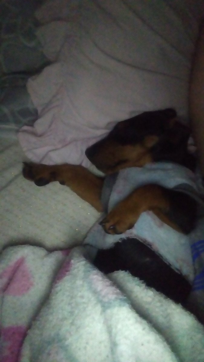 sweet_likecand's tweet photo. Tenho muita foto dele deitadinho comigo, e vendo isso me dá depressão meu filho cresceu muito rápido https://t.co/LNutyE2Caa