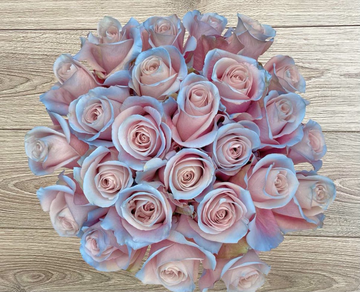 cactussimi's tweet photo. Kasto pretty ma ta roidinchu https://t.co/AMg5BW4IRv