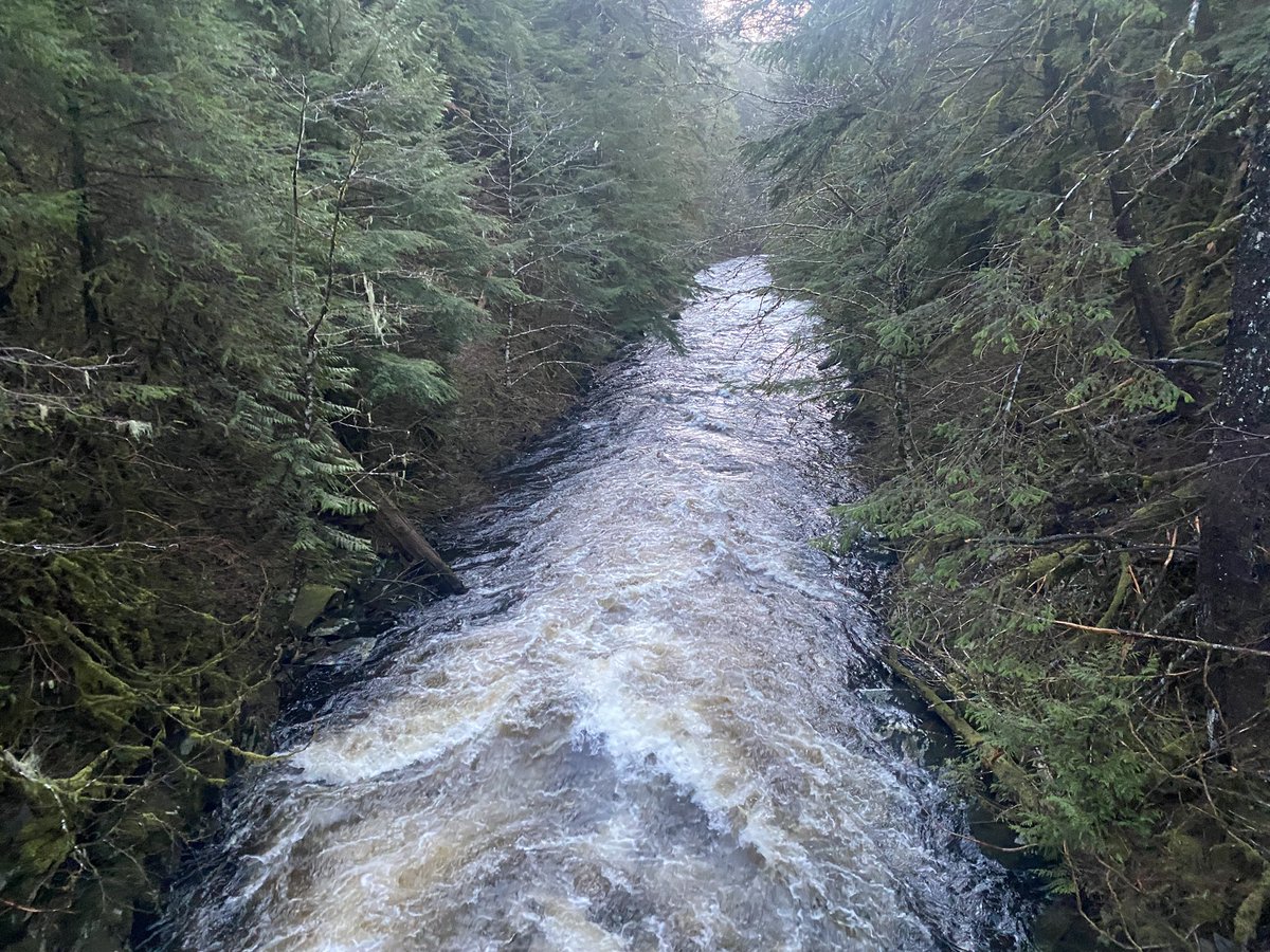 richlarson49's tweet image. Ward Lake