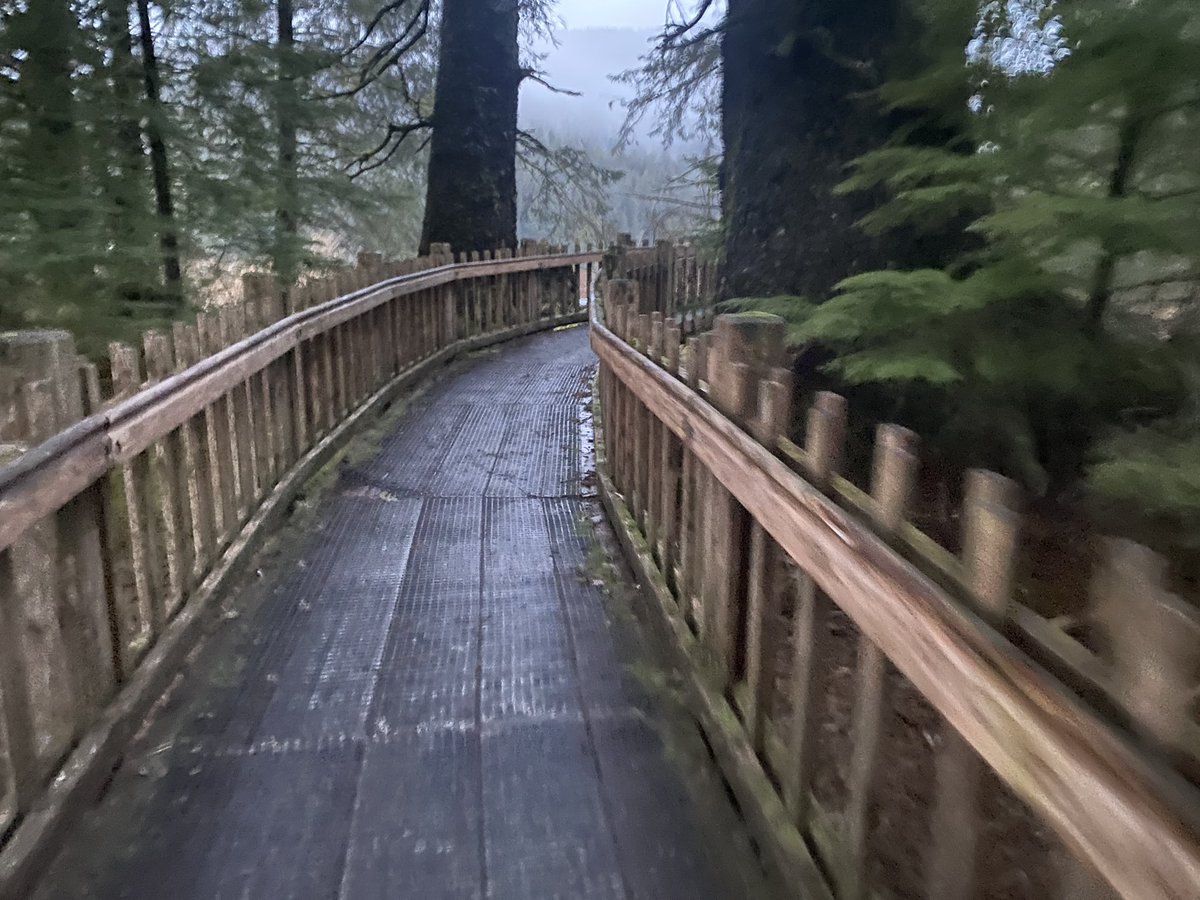 richlarson49's tweet image. Ward Lake