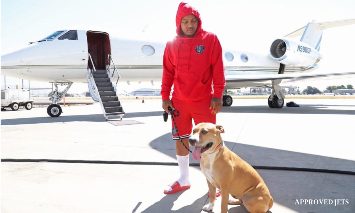 Are you considering traveling with your pets? ApprovedJets has got you covered. From the point of departure until the point of arrival, we make sure your pet's journey is pleasurable and comfortable.

#privatejet #aviationlovers #aviationphotography