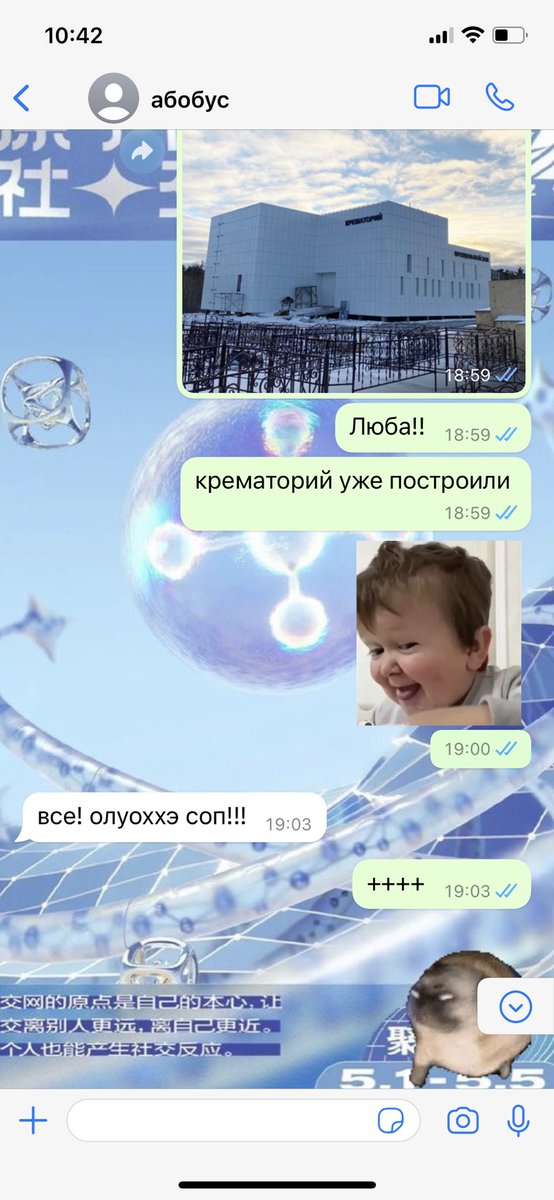 krbrnshv's tweet photo. жить с младшей сестрой это: https://t.co/IWwAhr1fQ1