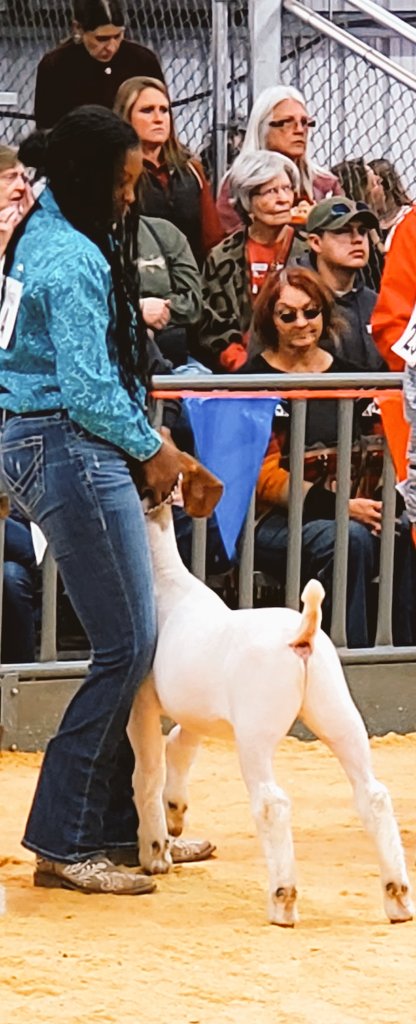 DoltonAlexis's tweet photo. #showseason #srszn https://t.co/pLUowKNNo1