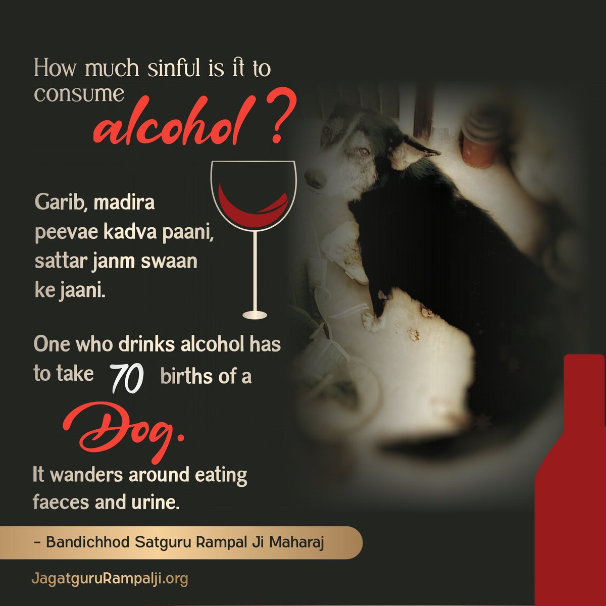 #StopDrinkingAlcohol
Alcohol is very dangerous for our body so just for the sake of taste and status one should not consume it. It's better to leave consuming it.