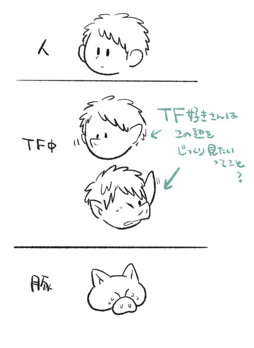 ふと思ったんだけどTF好きさんはこの半端な状態が好き…? 