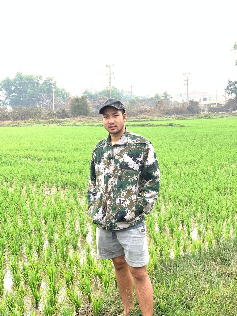 ທົ່ງນາ