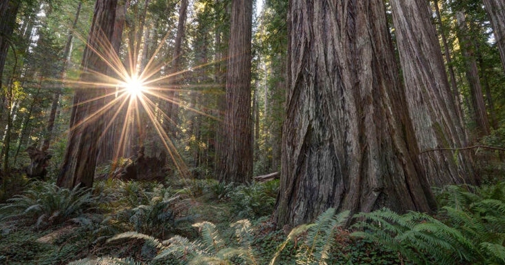 CFRI_CureCF's tweet photo. NAVIGATING GRIEF TO GROWTH: #BEREAVEMENT SUPPORT GROUP - FEB. 7 AT 5PM PT (8PM ET)

This drop-in group welcomes all those #CopingWithLoss of a loved one to #CysticFibrosis. Led by Isabel Stenzel Byrnes, LCSW, MPH, a #hospice social worker #LivingWithCF.

https://t.co/DRRbNWE9nf https://t.co/ftCIFtgc8i