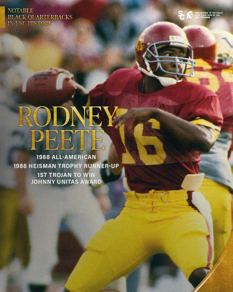 USCBHM - Search / X, image size:960x1200