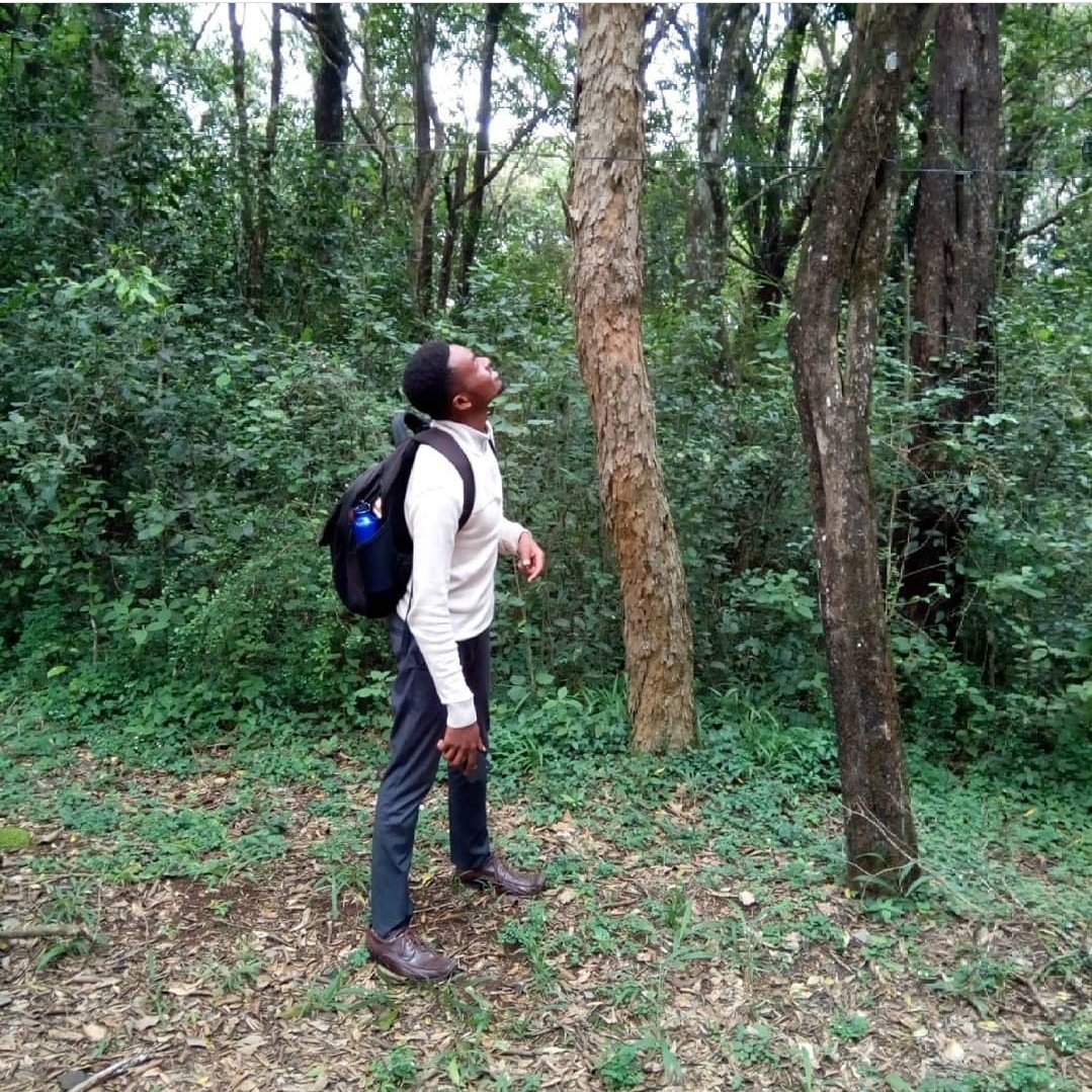 NGONG ROAD FOREST under THREAT!!!🧵 #saveourtreeS #saveourforests #urbanlungs The Ngong road forest is under threat, and it needs our attention! Public outrage and Kenyans demanding their green space to be protected could be our tool to safeguard it.