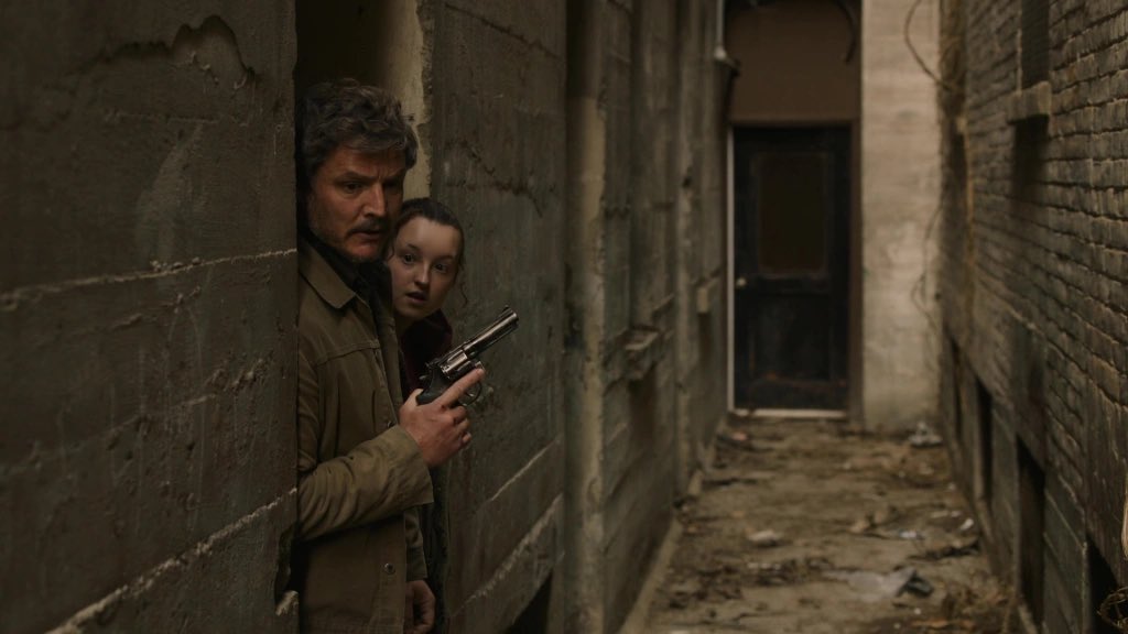 DomTheBomb tweet media