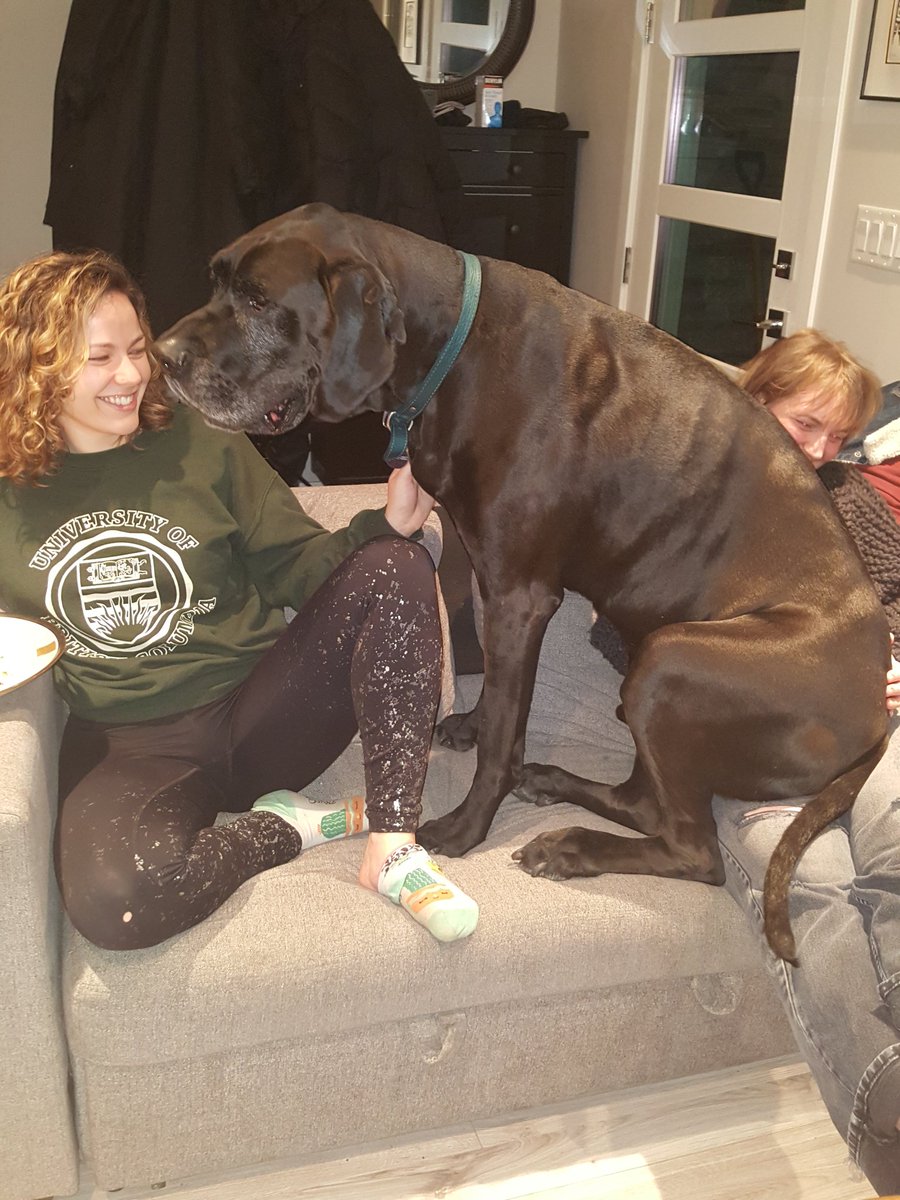 You will hardly know I am here! #BlendingIn.