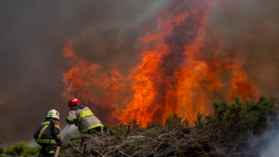 Ministro de Agricultura, Esteban Valenzuela, denuncia que voluntarios de BOMBEROS se estarían retirando de las regiones del Ñuble, Biobío y La Araucanía, ya que "sus empleadores se han negado a darles permiso para que se queden combatiendo los incendios forestales".(<a href="/Cooperativa/">Cooperativa</a>)