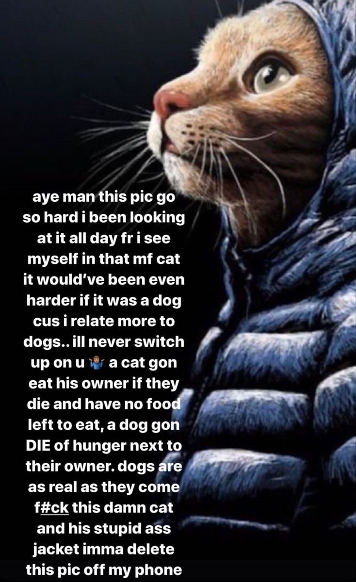 tize4PF's tweet image. 