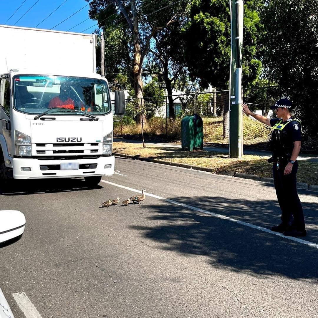 Melbourne, Australia tweet media