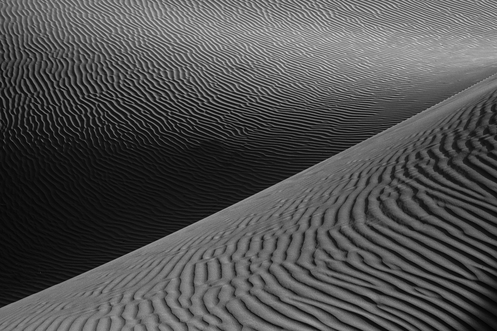 37frames's tweet image. An amazing, intense, busy, mindblowing start to the year. Australia, Niigata, Mt Fuji, Tokyo, Singapore, Dubai, Abu Dhabi &amp;amp; the Liwa Desert.  Back to Tokyo today. 
⁠
LIWA DESERT 2023⁠
.⁣⁣⠀⁠
.⁣⁠
📸 @37frames⠀⁠
.⁣⁠
 #QasrAlSarab #liwadesert #uae #abudhabi #arabiandesert