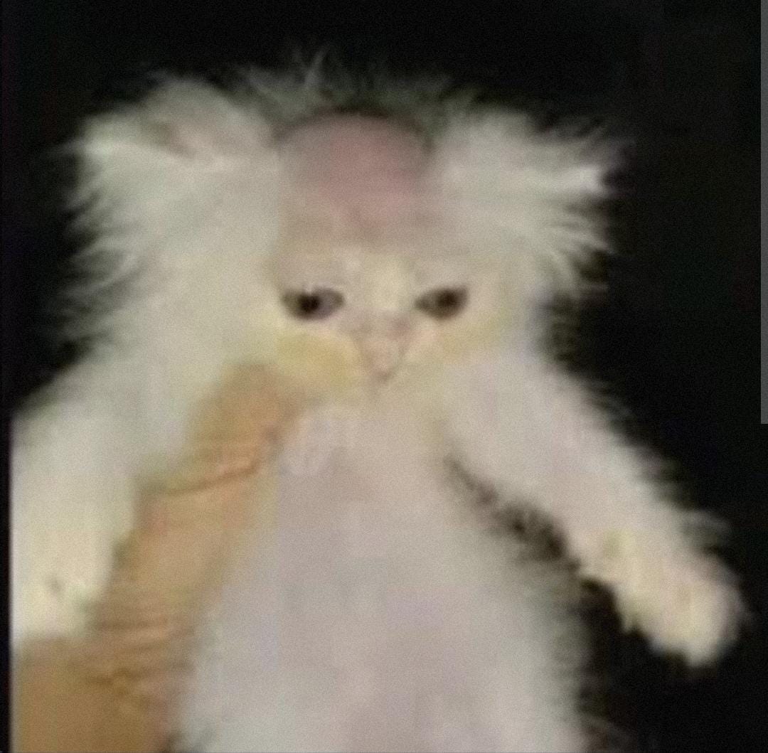 SrTacoalPastor's tweet image. #Tecnodebates Los lunes pa