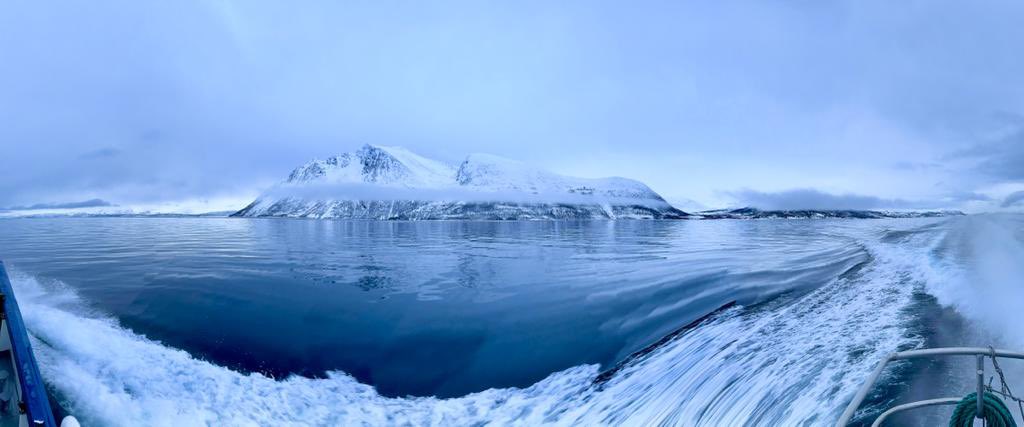 anantsachdev's tweet photo. Amazing Norway! Just magnificent …. https://t.co/i25cyjECxS