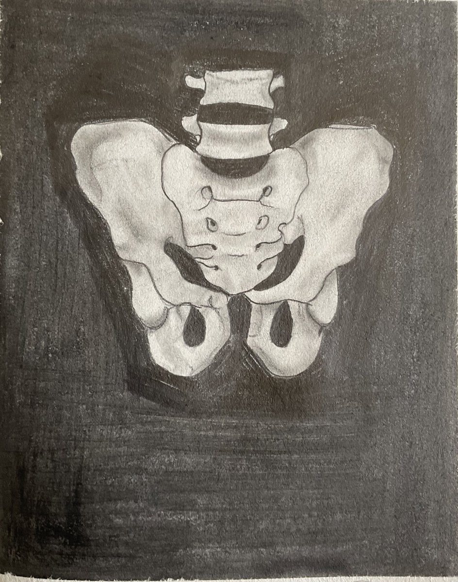 VinceMcK's tweet photo. Pelvis or butterfly ? #art #drawing https://t.co/TeBb2Nxtdo