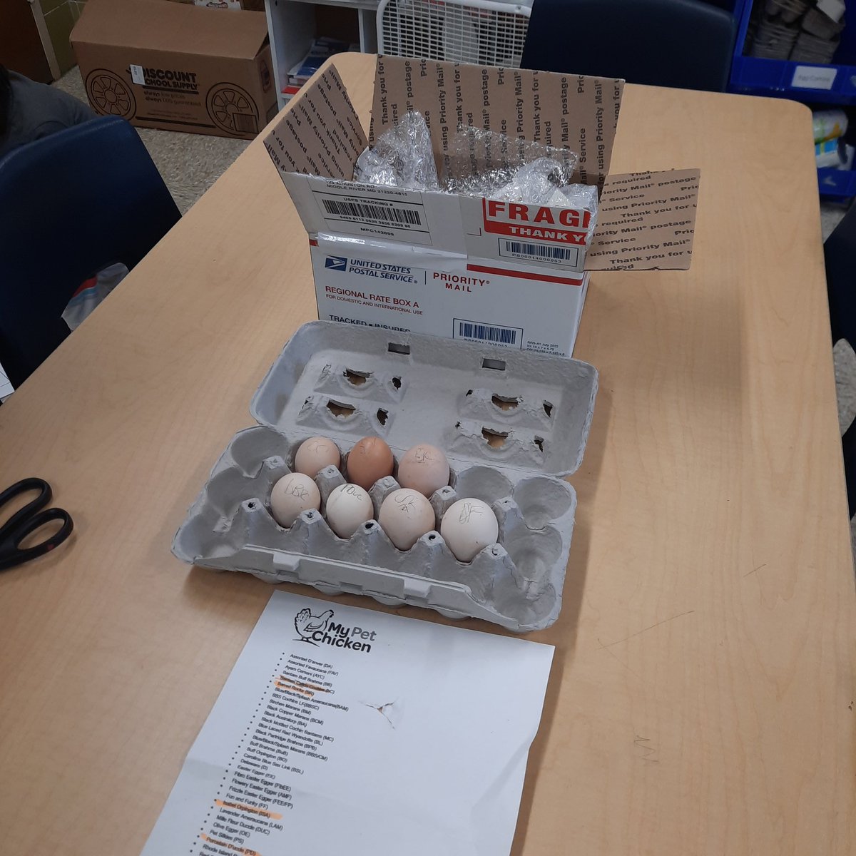 Ms. Schnell STEM (@msschnell_stem) on Twitter photo They have arrived, our 7 fertilized eggs! HES students will be hatching chicks in STEM! Excited & nervous as we begin this new adventure. Looking forward to all the new hands-on learning <a href="/JudyCtrHES/">JudyCenter@Hawthorne</a> <a href="/BCPSHES/">Hawthorne Elementary</a> <a href="/GIS_Cromwell/">Eric Cromwell</a> They have arrived, our 7 fertilized eggs! HES students will be hatching chicks in STEM! Excited & nervous as we begin this new adventure. Looking forward to all the new hands-on learning <a href="/JudyCtrHES/">JudyCenter@Hawthorne</a> <a href="/BCPSHES/">Hawthorne Elementary</a> <a href="/GIS_Cromwell/">Eric Cromwell</a>