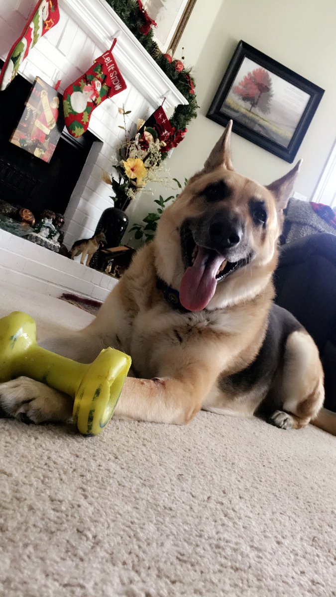 It’s never easy saying goodbye, so it’s until we meet again. Gonna miss my buddy💔

R.I.P.