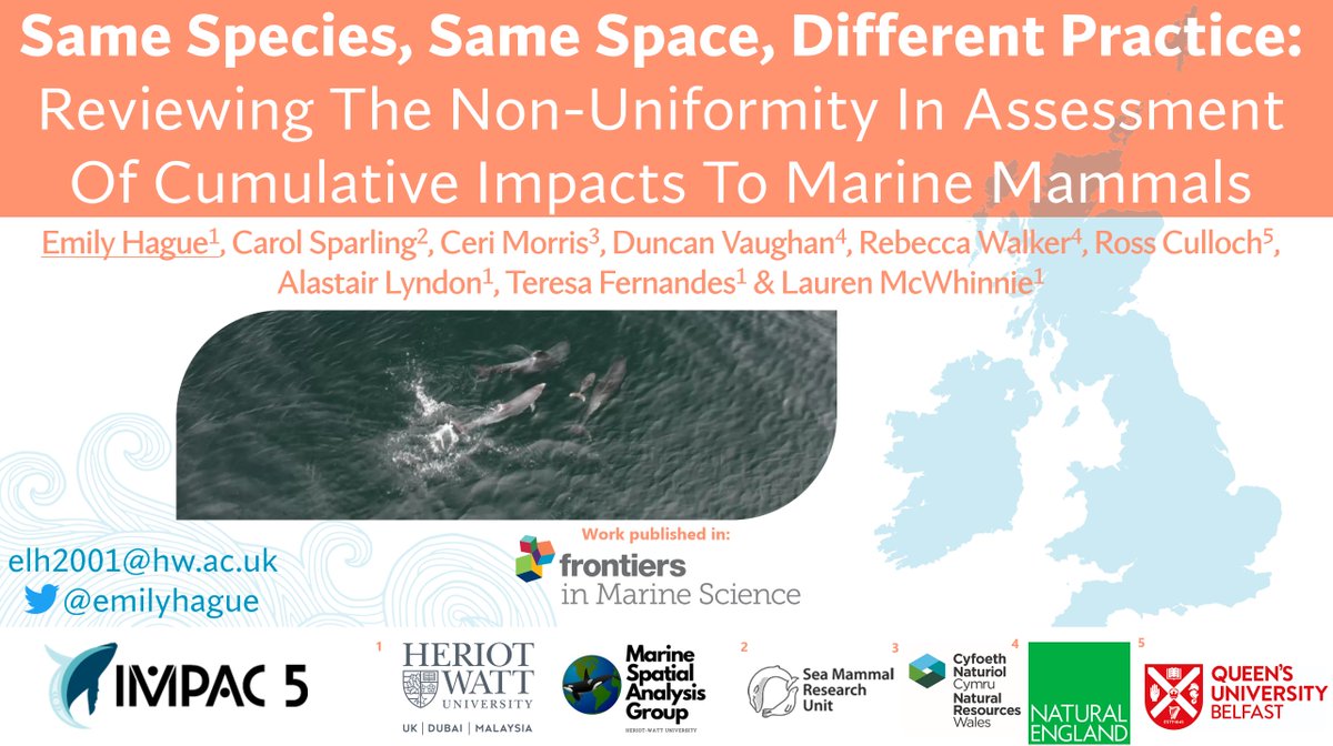 emilyhague's tweet photo. 🚨My talk at #IMPAC5 is tomorrow (Tues) 🚨In Room 111-112, session starts 11:30, I'm up 11:40! In session 'Working Together to Conserve MPAs'.. I'll be talking about cumulative impacts to marine mammals🐬You'll also get to hear other cool talks about activities within MPAs🤿🌊 https://t.co/unbbQWAGts