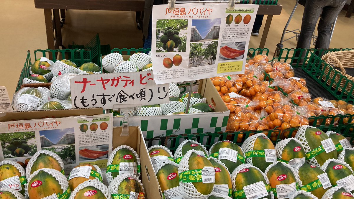 Stairs_ch's tweet photo. ２日目の沖縄。まずは、またまたサーターアンダギーを購入。他にサトウキビ、ゴーヤ茶、タンカンジュース、そして「森のアイスクリーム」と呼ばれるアテモヤ https://t.co/25kU4QdksI